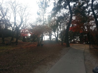 I managed to walk around the park in a fast pace when I realise time is running out. I spent too much time overlooking the wolji pond. Will be a great venue for picnics I think.