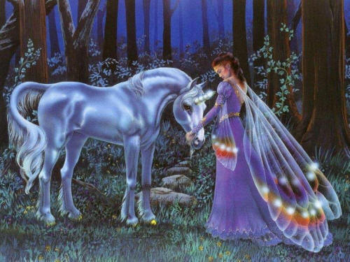 fairy and unicorn