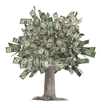 money_tree2.jpg