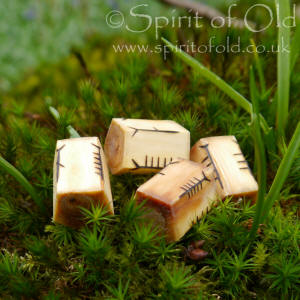 Ogham -Ballymote ancestral yew ogham dice.JPG