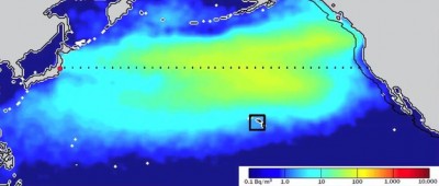 radiation plume projection by BBC.jpg