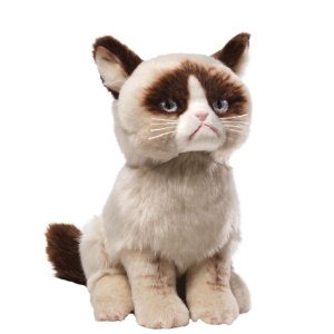 Guardian Grumpy Cat