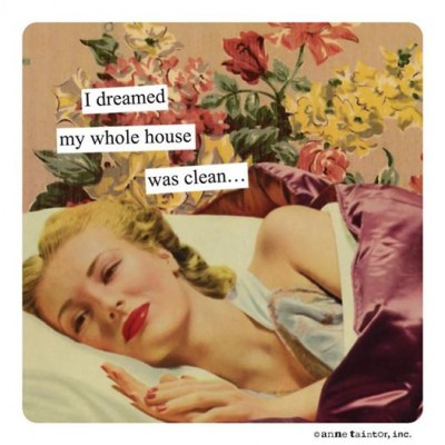 dreaming of clean house.jpg