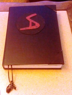 This is my book cover. The symbol is the sigil I invented for my name when I was about 11. I don't know how or why this symbol came out, it just sorta did and I to this day use it as signature sometimes.