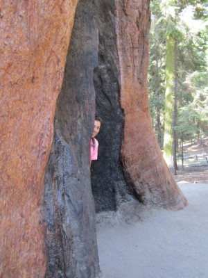 My daughter peeking out from an old burn scar