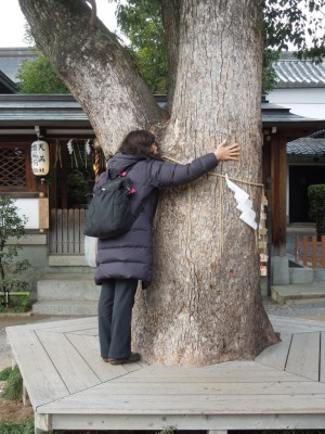 tree hugger.jpg