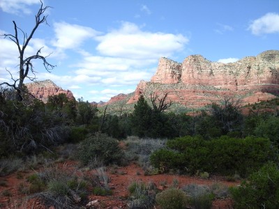 Looking up the canyon from Bell Rock