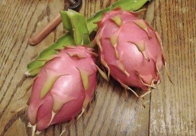 Twa dragonfruits