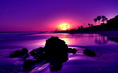 7718-purple-scene-scenery-scenic-sunrise-sunset-tropical-paradise_531x331.jpg