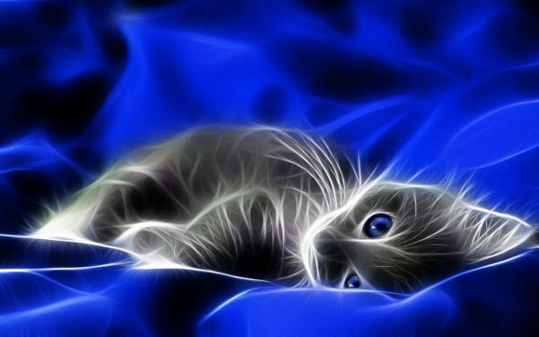 Fractal art of a kitten with blue eyes - artist unknown